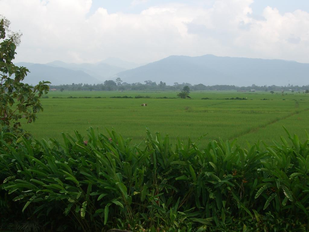 Rico Resort Chiang Kham Dış mekan fotoğraf